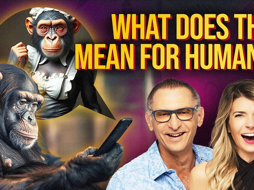 Monkeys Like Porn? (Crazy Study Reveals WHAT?!)