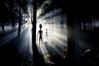 Why Is Alien Porn Suddenly So Popular?