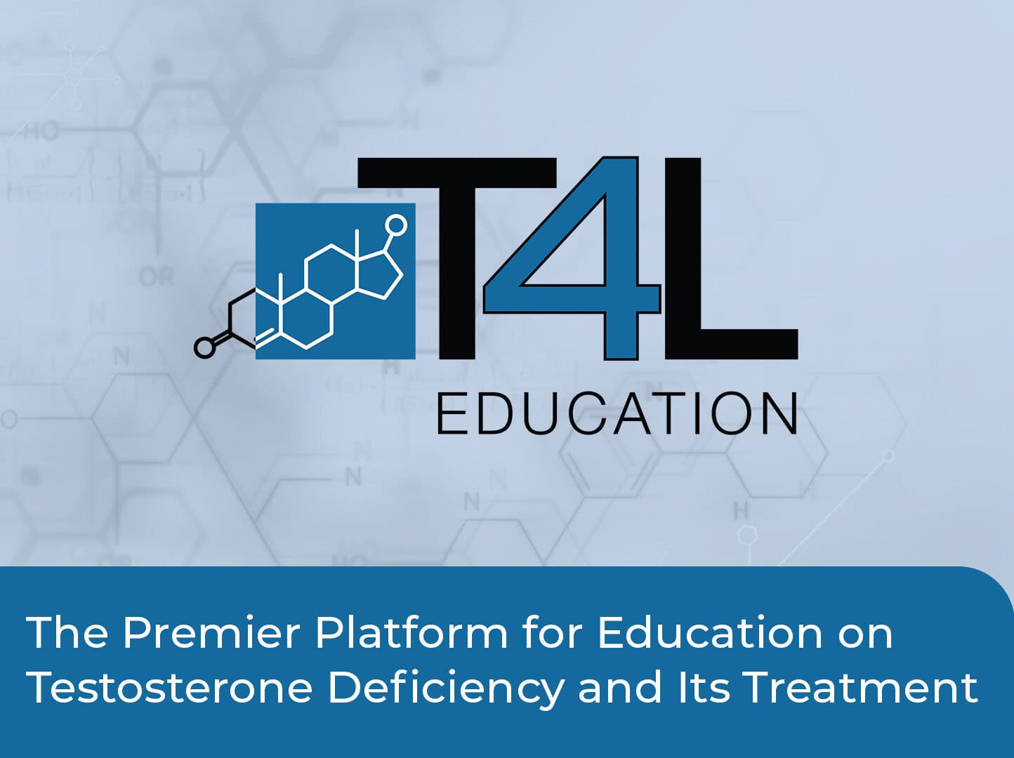 T4L Education